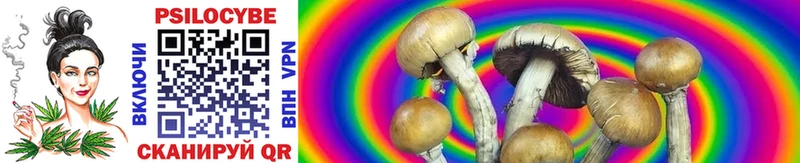 Псилоцибиновые грибы GOLDEN TEACHER  гидра сайт  Кирс 
